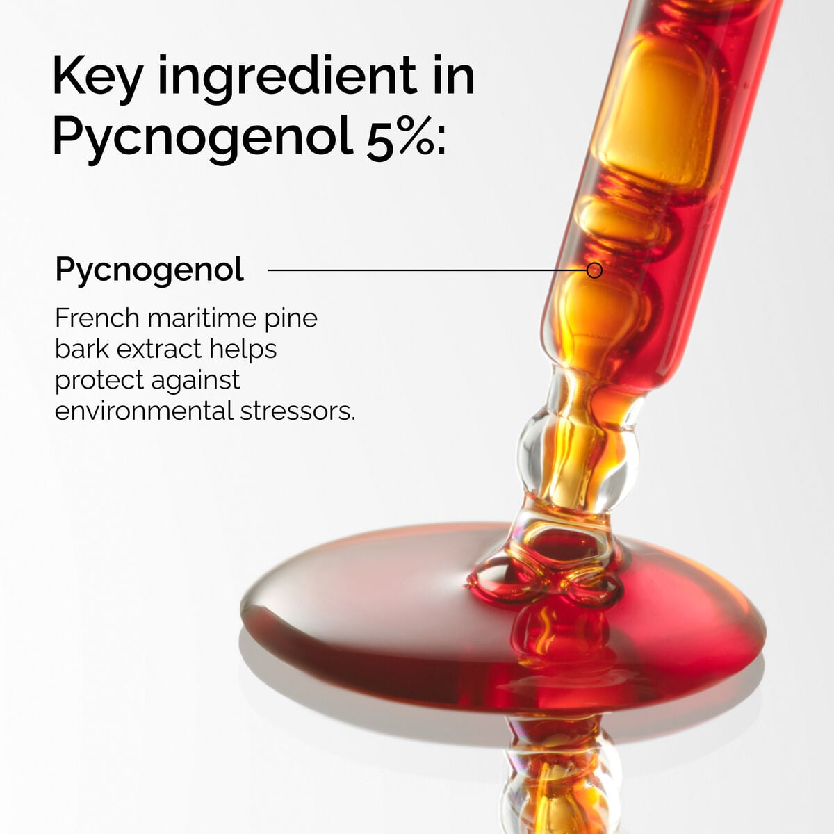 Pycnogenol 5% P7 image 8