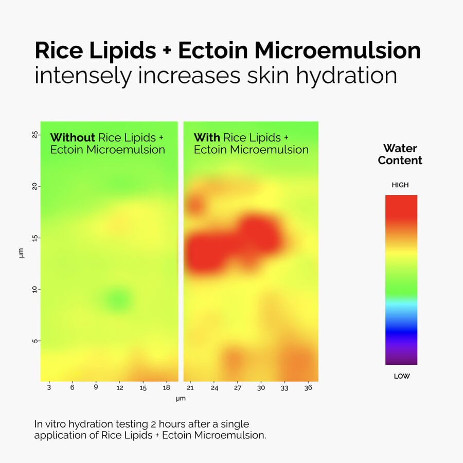 Rice Lipids + Ectoin Microemulsion T2 image 6